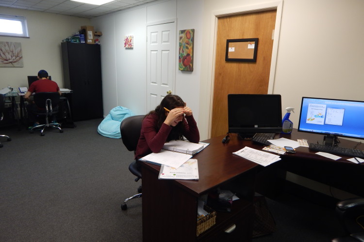 Functions and Exponents-Heart of Algebra