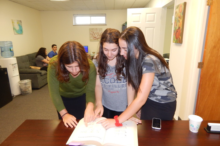 More Words of the Week!